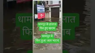 Dhampur me Phir hua jal bharav | dhampur pani video | dhampur pani  #dhampur #pani #viralvideo
