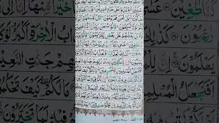 I am online Quran teacher do you wanted reading the holy Quran content me 03156369606