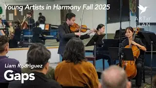 Gaps by Liam Rodriguez - Young Artists in Harmony - Art of Elan