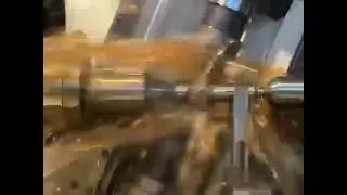 Dentatura di creatore