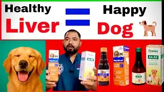 best liver tonic for dogs || best liver tonic for puppy || dog ke liye best liver tonic ||