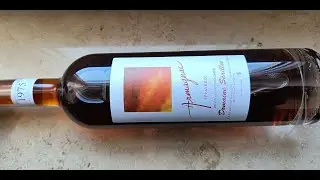 Domaine S&eacute;ailles Armagnac T&eacute;nar&egrave;ze 1975/2024 Verkostung