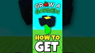 BLACK BUTTERCUP - update event in GROW A GARDEN Roblox  #roblox #growagarden