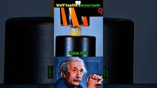 sigma Albert Einstein 🗿 #short​​ #physics #hydraulic