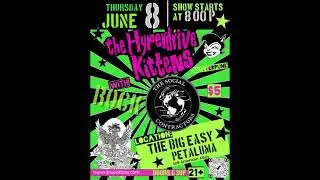 The Hyperdrive Kittens Roll into Summer Tour Dates #shorts