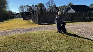 This is the goal of the obedience program!