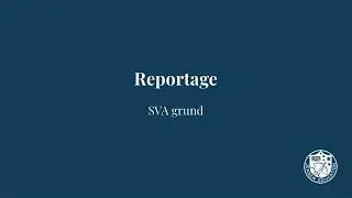 Reportage