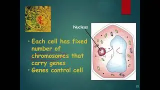 Histology Cells Lecture Part 1