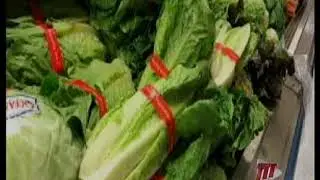 Health Ministry Issues Advisory On Consuming Romaine Lettuce From The US