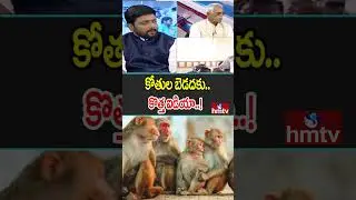 AGRI:కోతుల బెడదకు..  కొత్త ఐడియా |hmtv
