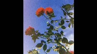 Catchy Type Beat | guitar Summer vibe Type Beat 2021 - 
