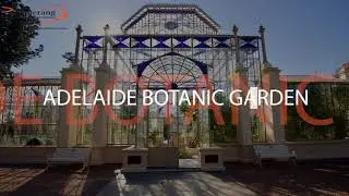 Sightseeing in Adelaide