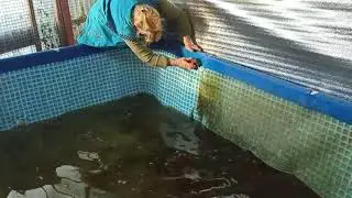 Ремонт трех тонного китайца