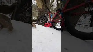 Bike edit in the snow in the forest #viraalshorts #mtb #amtb #viraal #mtblife #mountainbike #music