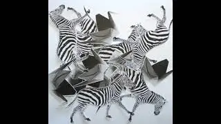Zebra Cassettes - Body Horror (2011)