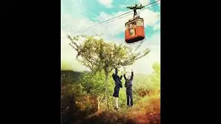 20251119 - Draka Distribution - gondola