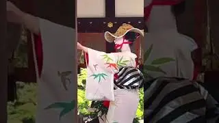 Beautiful dance of Maiko at Yasaka Shrine in Kyoto❤️❤️❤️