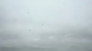 Triple prop hang 😎 🤘🏻 RC gas planes ✈️ 