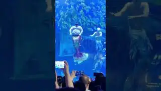 4720: Merman with unique physique makes waves at Chinese aquarium
