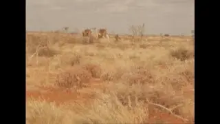 RR7739/4 OGADEN SOMALIS TAKE OVER - CUTS 6/7 PART 2