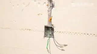Serie de Capacitacion para Instaladores de BuildBlock: 18. Plomer&iacute;a, Electricidad y Mec&aacute;nica