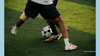 Knee Anterior Cruciate Ligament Injuries and Reconstruction AI Podcast