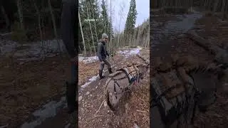 Работаем с вьючным седлом Осла!