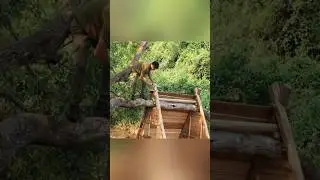 Build an Amazing Shelter Cabin on the water, Survival Camping,Tree House #shotrs 🥰😍
