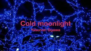 [111N] オリジナル曲　ギター インスト  [Cold moonlight]  original guitar instrumental music / DTM