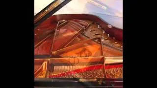 Steinway Model B Grand Piano for sale   Coach House Pianos 01792 584584