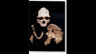 The Evolution of Death & Burial 2/13: The Paleolithic by John David Ebert