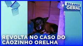 Revolta no caso do c&atilde;ozinho orelha parentes de adolescentes s&atilde;o indiciados