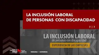 2 | 3  La inclusi&oacute;n laboral de personas con discapacidad. Experiencia de las empresas