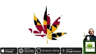 High-Level Overview of the Maryland Cannabis Market