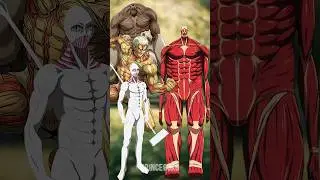 Bertholt Colossal Titan 💥 Vs Beast, Armored, War Hammer & All Abnormal Titans | Ultimate AOT Battle|