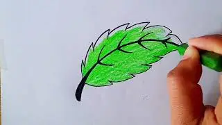 Easy & Beautiful Leaf Drawing || Tuba Arts