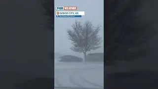 Blizzard Conditions Take Over Parts Of Kansas #foxweather  #weather #blizzard