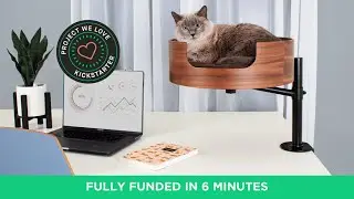 A Kickstarter Project We Love: Desk Nest Cat Bed- The Purrfect Cat Bed For Your Desk