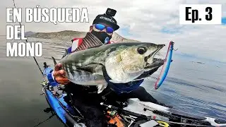 Un muy buena jornada! - Pesca en kayak Antofagasta - N.E. Episodio 3