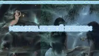 🎀 𝒻𝒶𝒾𝓇𝓎 𝓃𝒾𝓂𝓅𝒽 𝓋𝑒𝓇𝓈🎀красота лесной нимфы🧚🏻&zwj;♀️ |саблиминал|