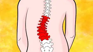 How to Fix Lumbar Scoliosis in 4 minutes naturally