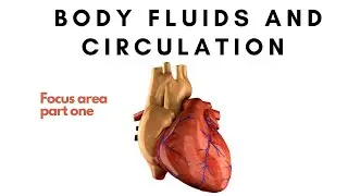 body fluids and circulation// focus area// part 1
