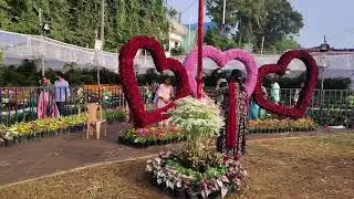 Yanam flower show #youtube video 