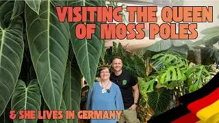 Against All Odds: Achieving a Lush Indoor Jungle in Germany!