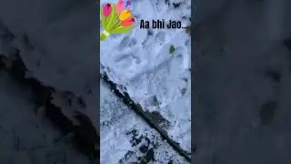 Aa bhi jao // shimla// #coversong //#snowfall //#snow