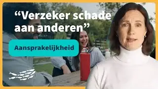 Aansprakelijkheidsverzekering uitgelegd: alle ins- en outs die je moet weten | Interpolis