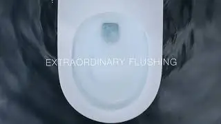 Extraordinary Flushing with Revolution 360