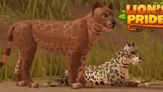 Roblox A Lion's Pride Beta - Lion RP🦁