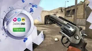 Esportas / &rsquo;15 / 51 savaitė &ndash; Naujos pū&scaron;kos