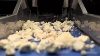 M&aacute;quina Corte Coliflor - Polux de Ait - Corte en floretes - www.aitenet.com